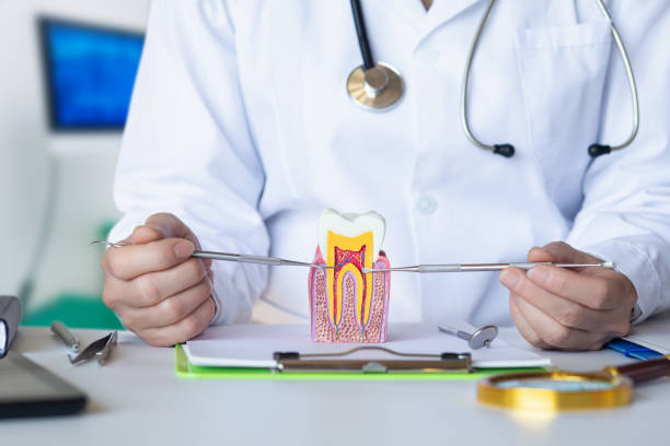 Best Emergency Tooth Extraction in Guyton, GA